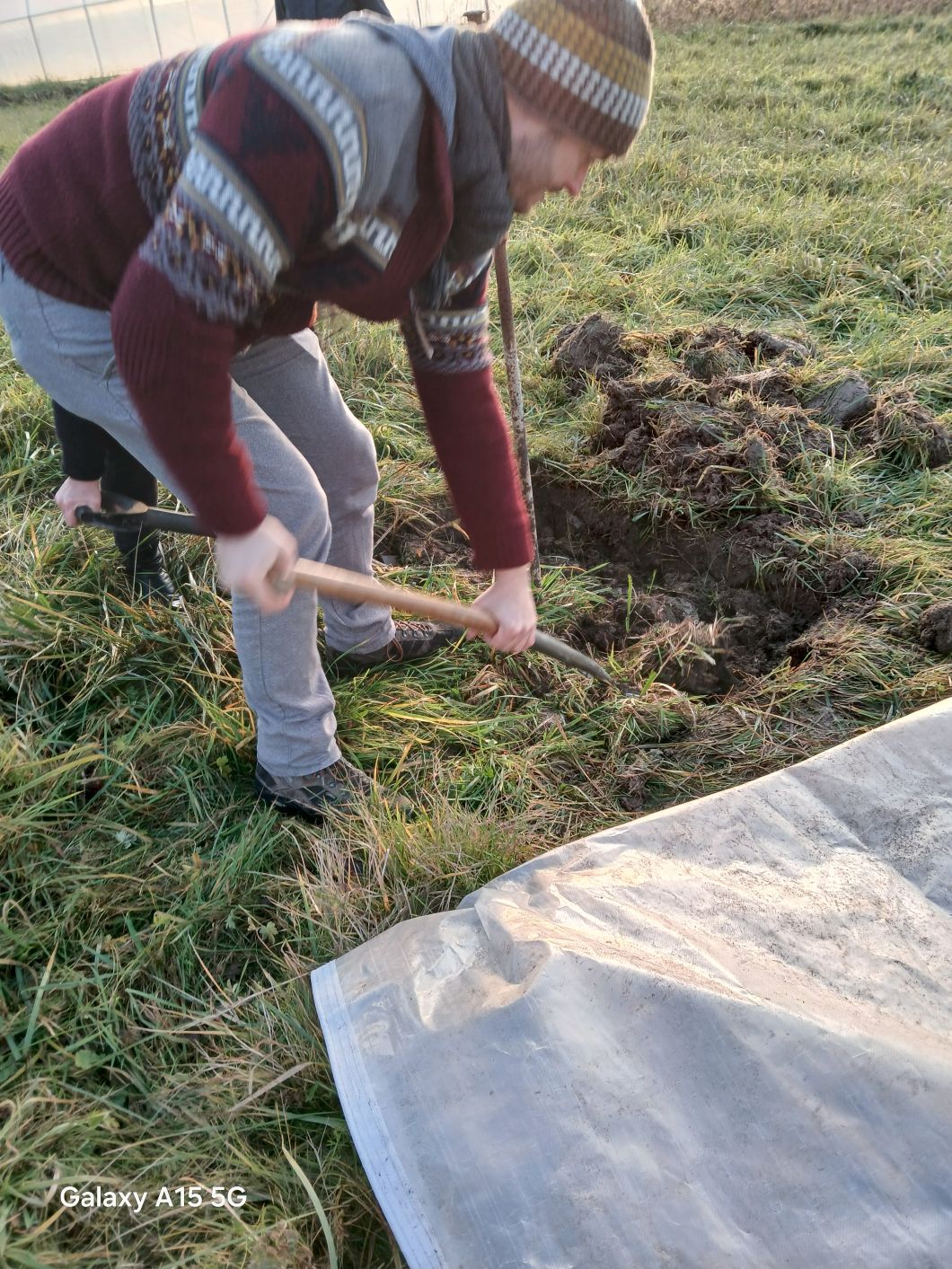 20251201 161236baum1