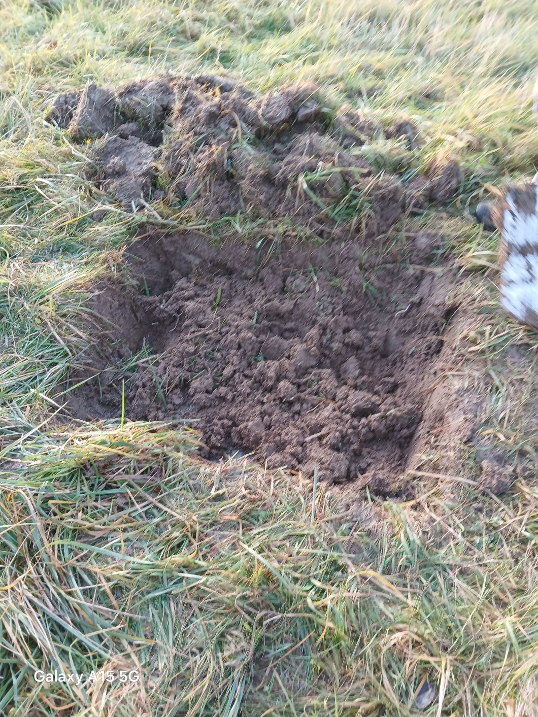 20251201 161724baum5