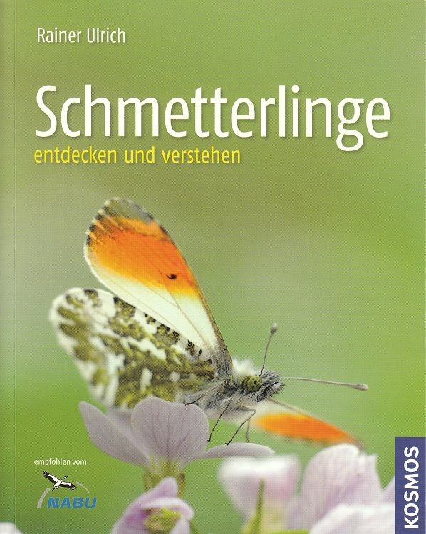 schmetterlinge