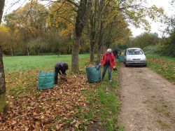 02-IMG-20241114-WA0002