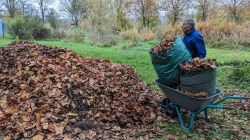 09-PXL_20241111_104224921