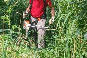 Arbeiten im Park